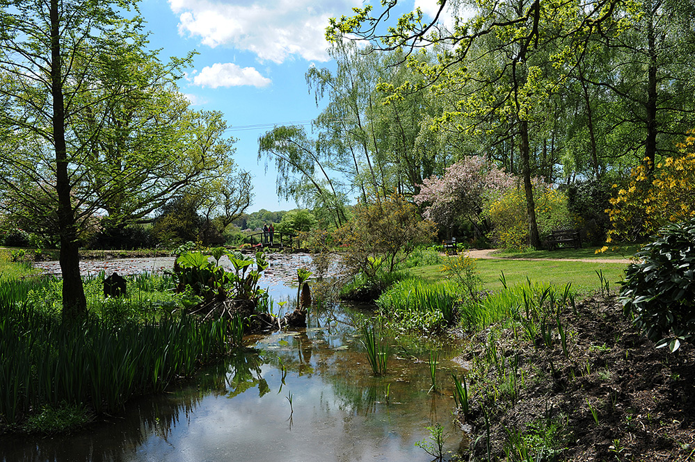 Furzey Gardens New Forest The Lake in Spring 2